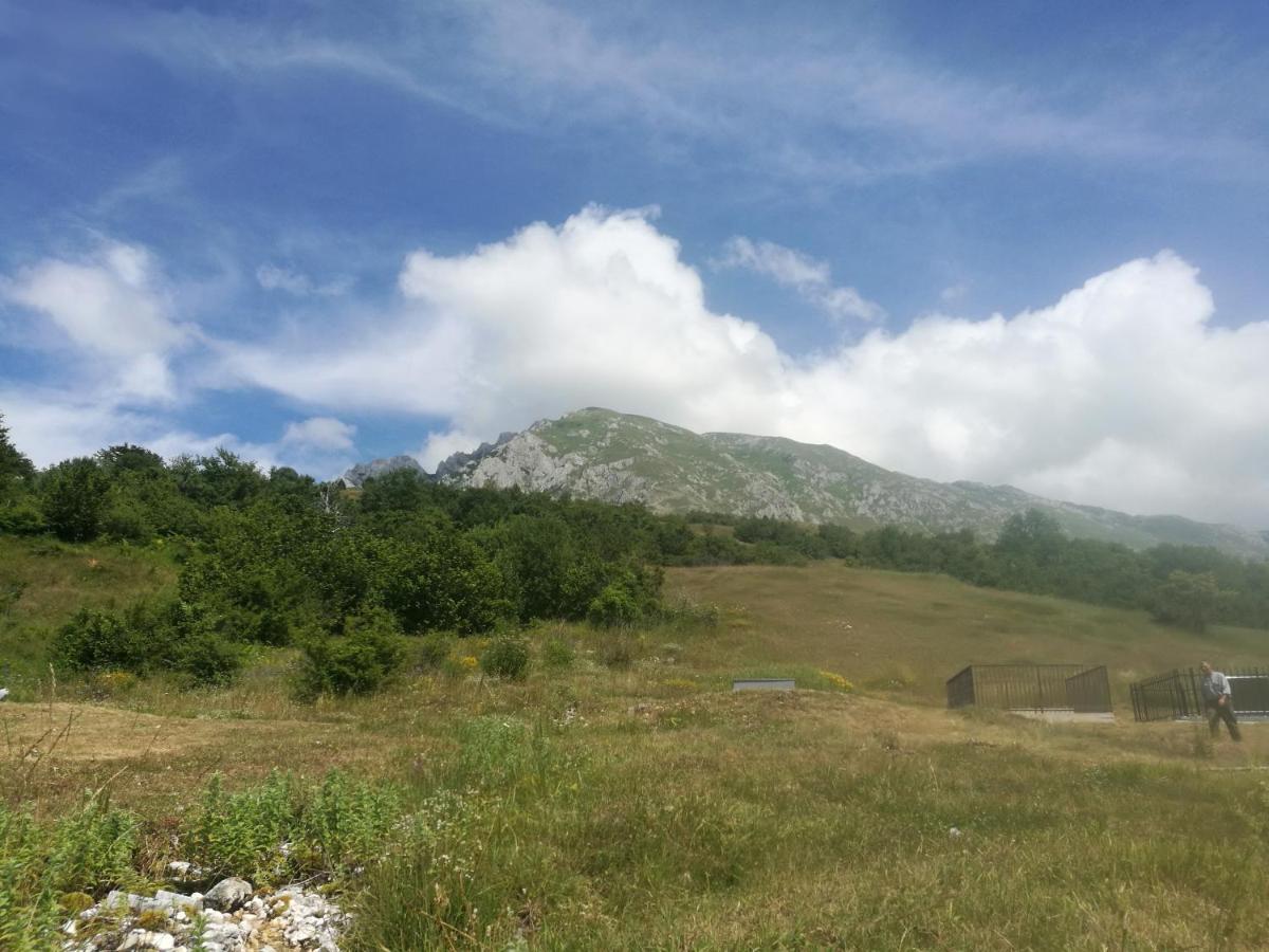 Camp Volujak Exteriör bild
